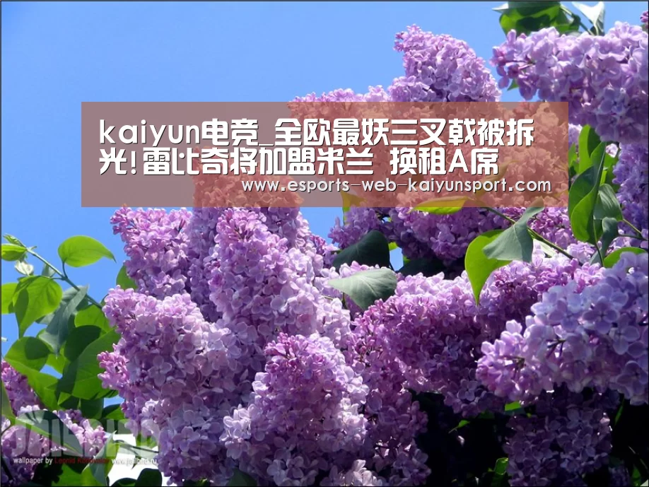  开云电竞平台