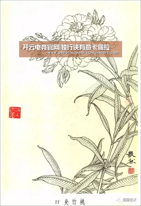 开云电竞官网|独行侠有意卡佩拉(图1) 开云电竞平台